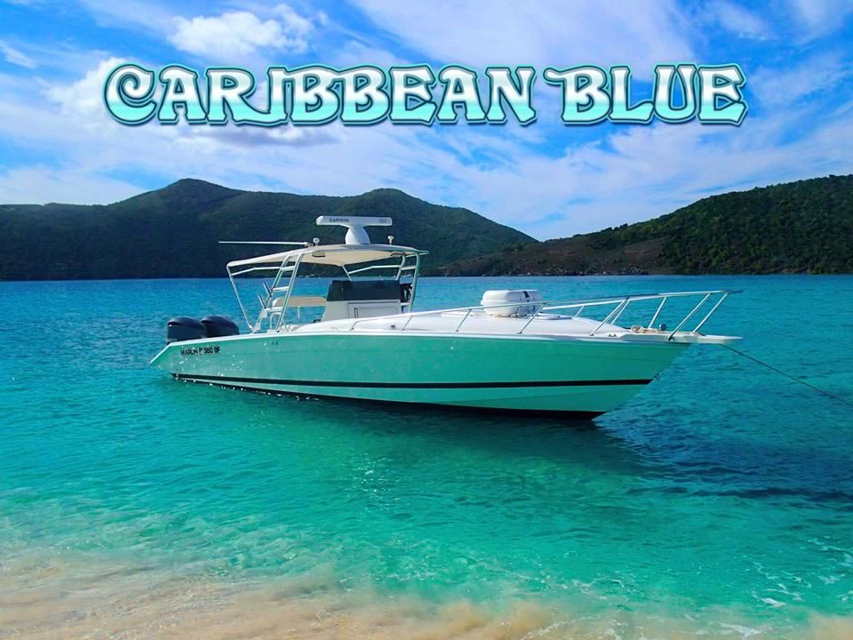 Charter or Rent A Boat from Caribbean Blue Boat Charters in St. Thomas US Virgin Islands