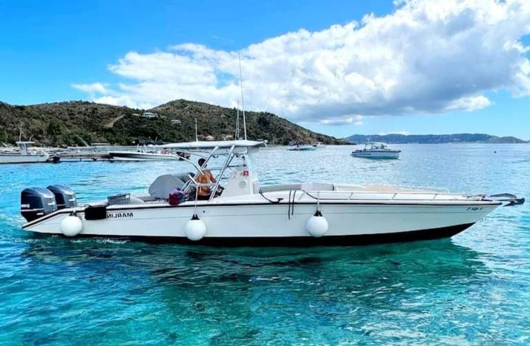 Private customizable boat tours in Saint Thomas VI
