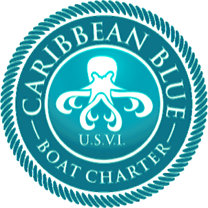 Boat Rentals in St. Thomas, US Virgin Islands