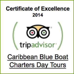 Certificate of Excellence Caribbean Boat Excursions Boat Charters St. Thomas